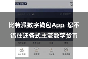 比特派数字钱包App 您不错往还各式主流数字货币