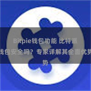 Bitpie钱包功能 比特派钱包安全吗？专家详解其全面优势