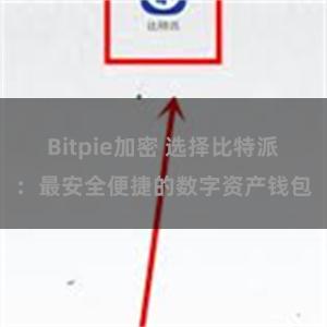 Bitpie加密 选择比特派：最安全便捷的数字资产钱包