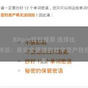 Bitpie钱包推荐 选择比特派：最安全便捷的数字资产钱包