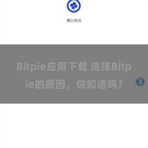 Bitpie应用下载 选择Bitpie的原因，你知道吗？