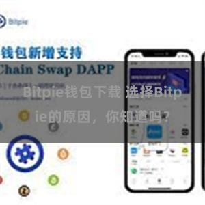 Bitpie钱包下载 选择Bitpie的原因，你知道吗？