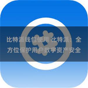 比特派钱包使用 比特派：全方位保护用户数字资产安全