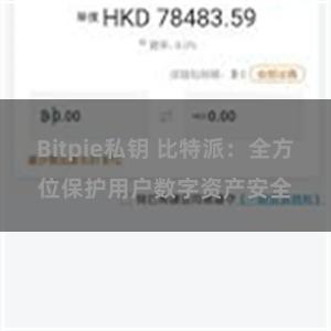 Bitpie私钥 比特派：全方位保护用户数字资产安全