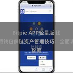 Bitpie APP轻量版 比特派钱包多链资产管理技巧：全面攻略