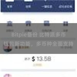 Bitpie备份 比特派多币钱包新功能，多币种全面支持