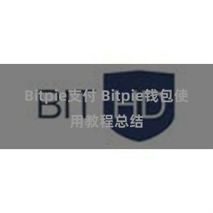 Bitpie支付 Bitpie钱包使用教程总结