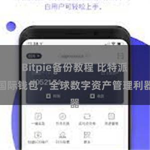 Bitpie备份教程 比特派国际钱包，全球数字资产管理利器