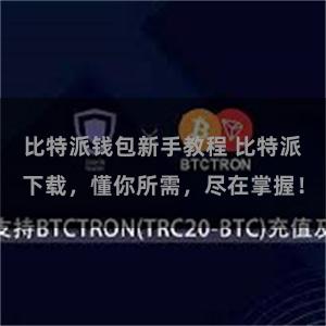 比特派钱包新手教程 比特派下载，懂你所需，尽在掌握！