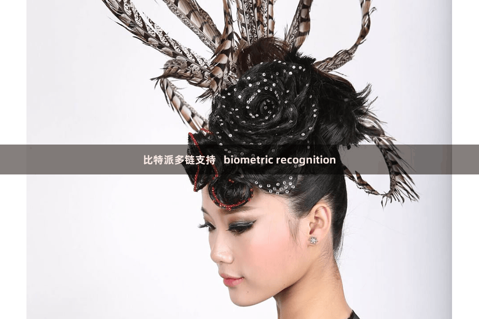 比特派多链支持   biometric recognition