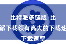 比特派多链版  比特派下载领有高大的下载速率