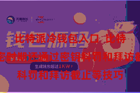 比特派冷钱包入口  比特派数字加密时期还通过密钥科罚和拜访截止等技巧