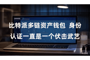 比特派多链资产钱包  身份认证一直是一个伏击武艺